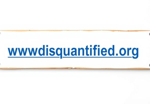 www. disquantified .org