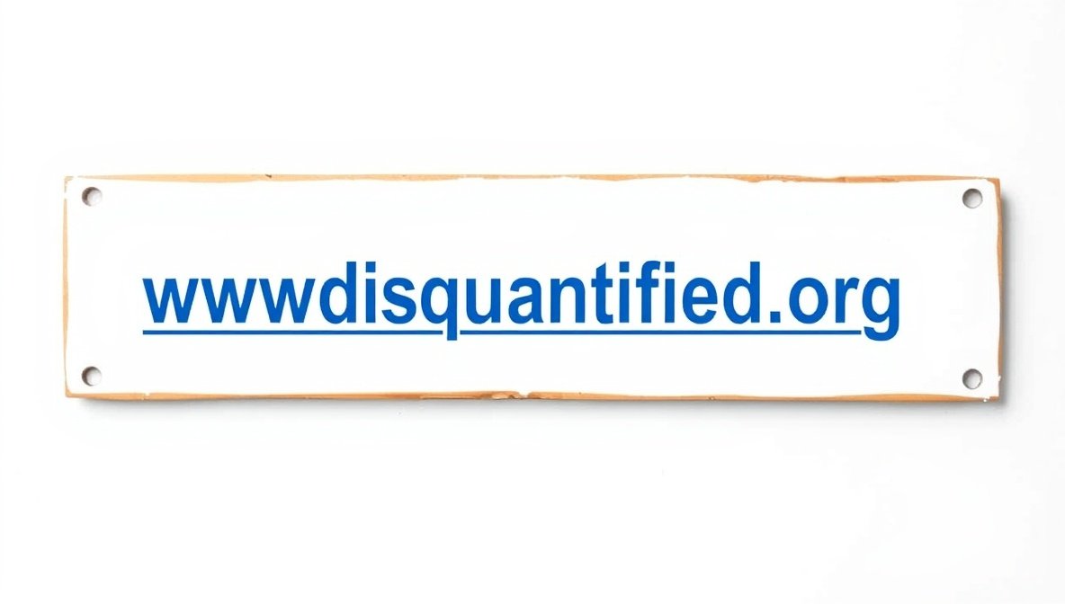 www. disquantified .org